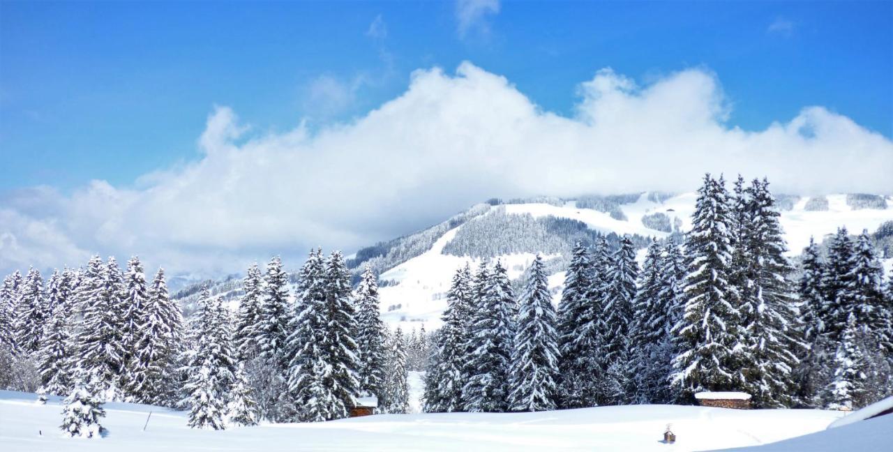 Hotel La Grange D'Arly Megève Eksteriør bilde